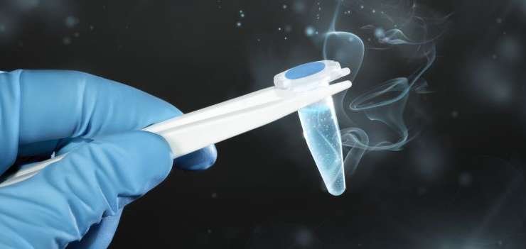 Why a trend from fresh to frozen embryo transfer?