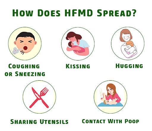 Hand Foot Mouth Disease Spread