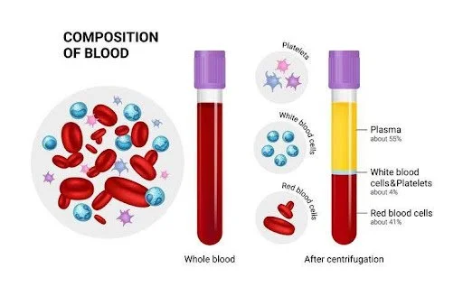 PRP Process