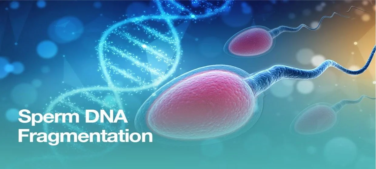 Sperm DNA Fragmentation Test