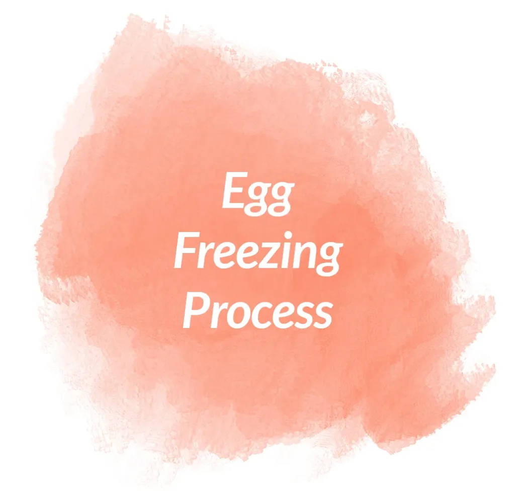 Egg Freezing Process