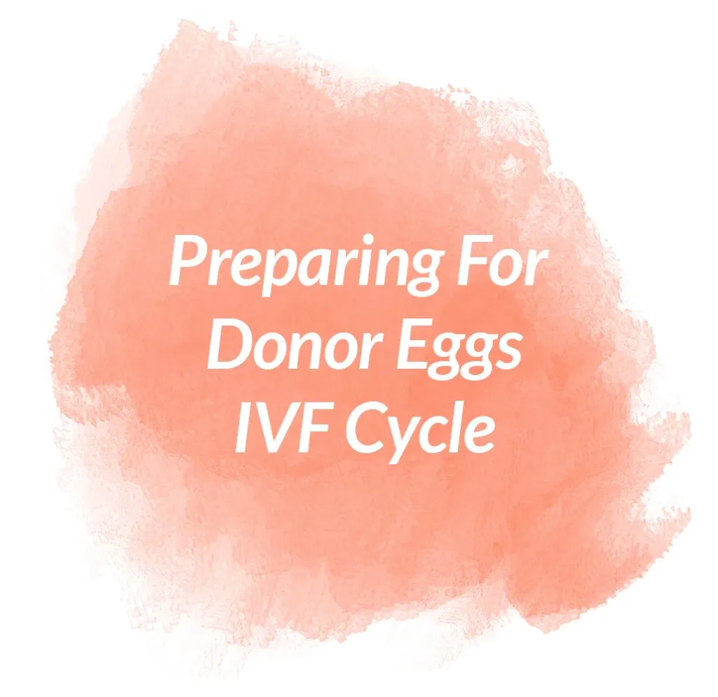 Preparing For Donor Eggs IVF Cycle