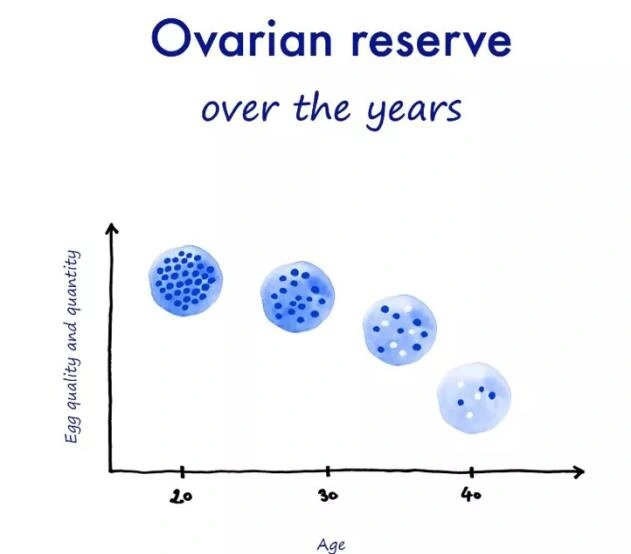 Ovarian Reserve Over the Years